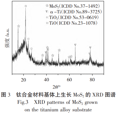生物醫(yī)用鈦材料表面MoS?/HA涂層的制備優(yōu)化與性能耦合研究——浸漬提拉-高溫煅燒法制備高結(jié)晶度MoS?涂層，對比分析兩種涂層的微觀形貌與功能特性，為鈦基植入體機(jī)械性能與生物活性協(xié)同提升提供實驗數(shù)據(jù)