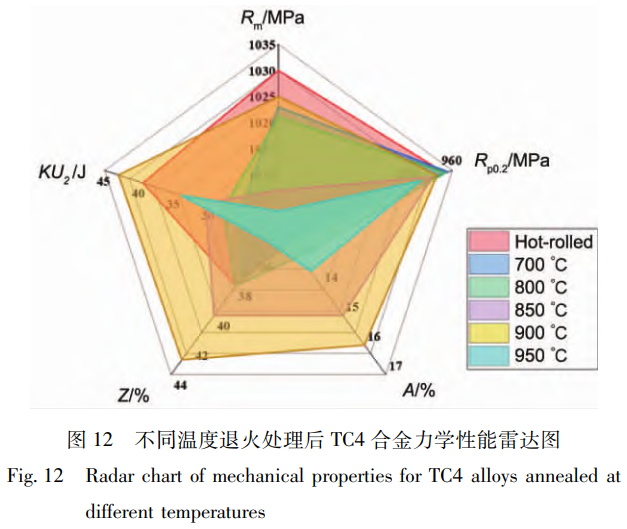 軋制-退火協(xié)同調(diào)控下艦船用大規(guī)格TC4鈦合金板材的組織演變機(jī)制與力學(xué)性能各向異性優(yōu)化研究——聚焦初生α相/次生α相調(diào)控及900℃退火工藝的弱織構(gòu)增強(qiáng)效應(yīng)